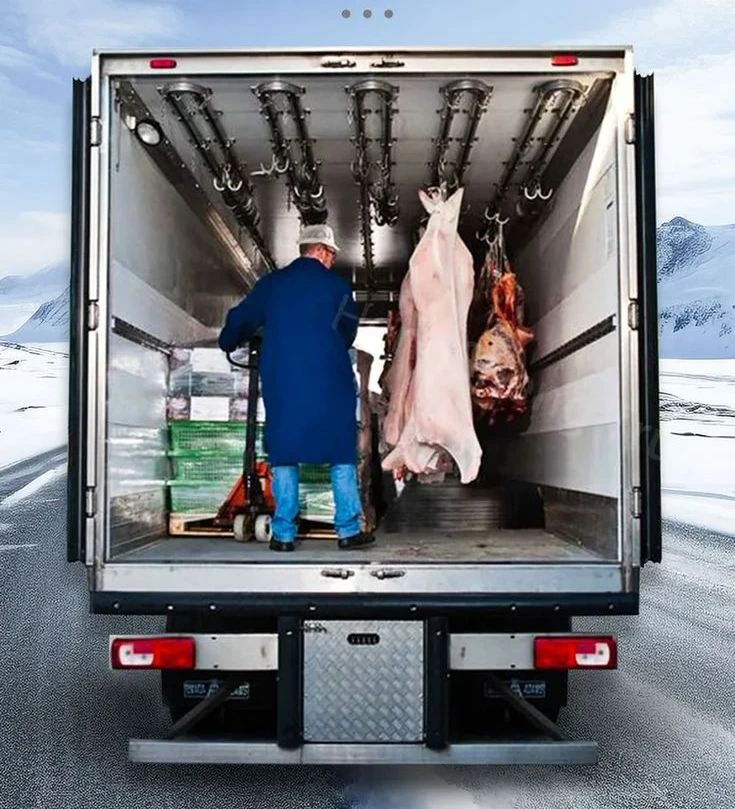 Refrigeración para transporte refrigerado y Thermo King - trabajo 6